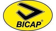 bicap-logo