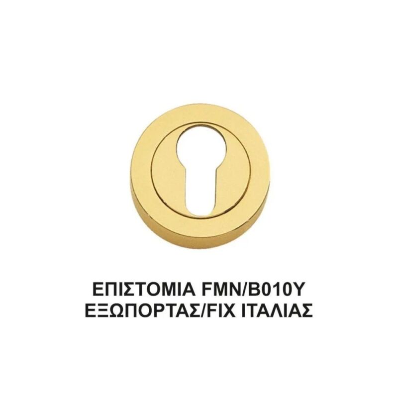 ΕΠΙΣΤΟΜΙΑ FMN Β010Υ CNS