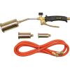 ΦΛΟΓΙΣΤΡΟ ΠΙΣΣΑΣ 25-35-50CM 73340 VOREL