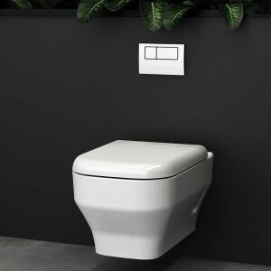 Olympia Synthesis - Λεκάνη κρεμαστή - Image 2