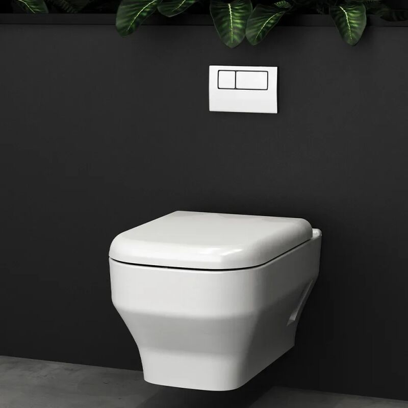 Olympia Synthesis - Λεκάνη κρεμαστή - Image 2