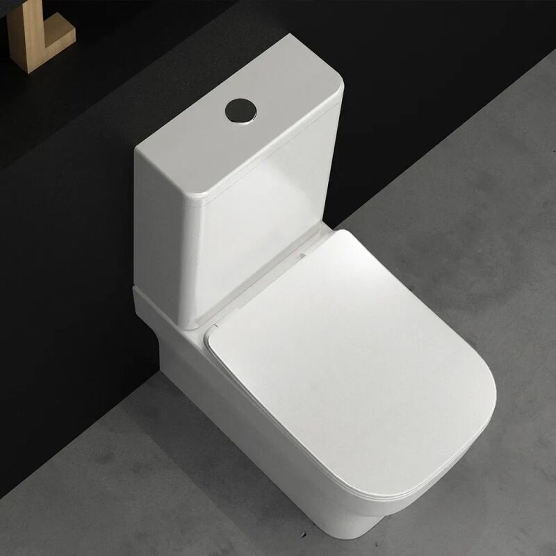 Olympia Synthesis Rimless BTW - Λεκάνη και Καζανάκι χωρίς μηχανισμό - Image 3