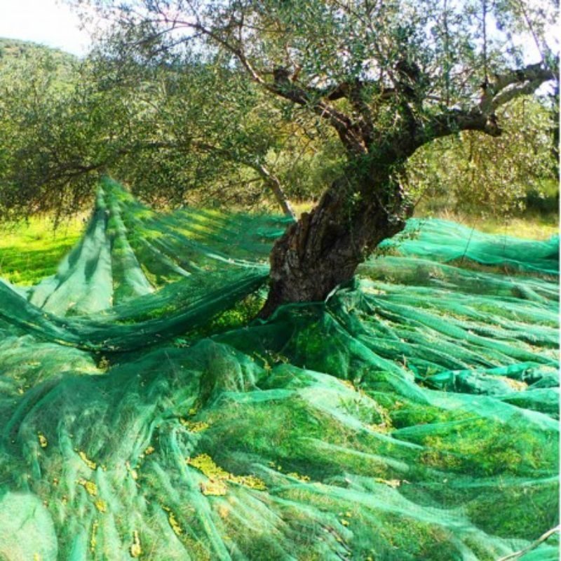 Δίχτυ για συλλογή ελιάς 7x14m 90gr - Image 3