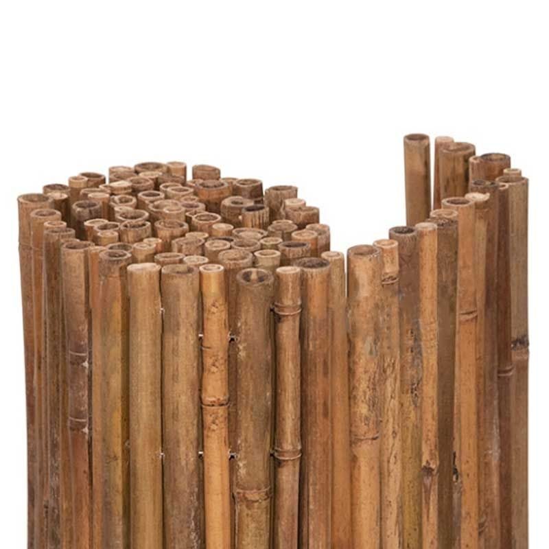 Καλαμωτές bamboo tonkin 250 cm