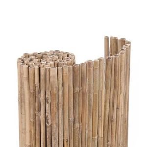 Καλαμωτή bamboo tonkin Φ18-26