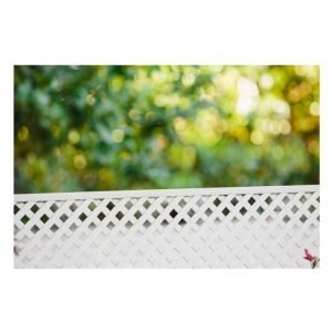 Πάνελ PVC με Καρέ - Image 4