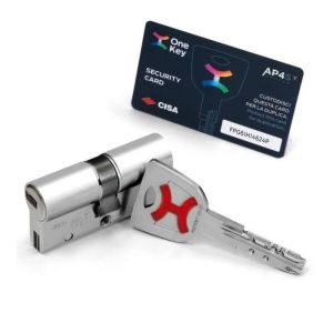 Κύλινδροι ασφαλείας νίκελ AP4S CISA