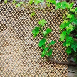 Πέργκολα πτυσσόμενη απο βέργα λυγαριάς αποφλοιωμένη καρέ