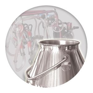 ΑΜΕΛΚΤΙΚΗ ΚΙΝΗΤΗ 2 ΑΓΕΛΑΔΩΝ 1ΗΡ - Image 3