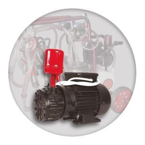 ΑΜΕΛΚΤΙΚΗ ΚΙΝΗΤΗ 2 ΑΓΕΛΑΔΩΝ 1ΗΡ - Image 4