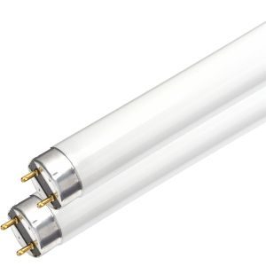 ΛΑΜΠΑ ΦΘΟΡΙΟΥ Τ8 36W 120cm 6500K