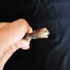 Επαγγελματικό Τρυπάνι Τετράκοπο SDS plus Διάμετρος: 14mm Μήκος: 310mm Ωφέλιμο μήκος: 250mm DBH1211404C INGCO
