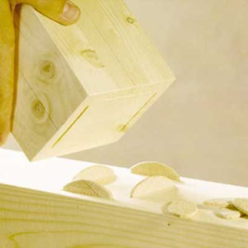 Καβίλιες ξύλου οξιάς οβάλ τύπου μπισκότο Wolfcraft - Image 3