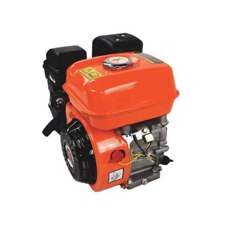 ΚΙΝΗΤΗΡΑΣ ΒΕΝΖΙΝΗΣ LION 6,5HP LION