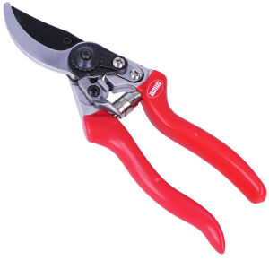 ΨΑΛΙΔΙΑ ΚΛΑΔΟΥ AMIG P13 -8 1/2"