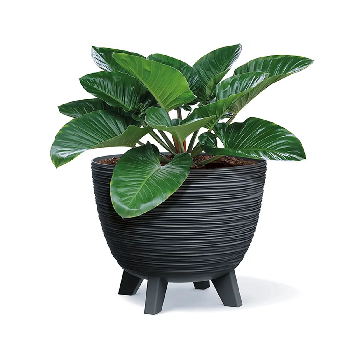 Γλάστρα Στρόγγυλη με Ποδαράκια PROSPERPLAST Furu