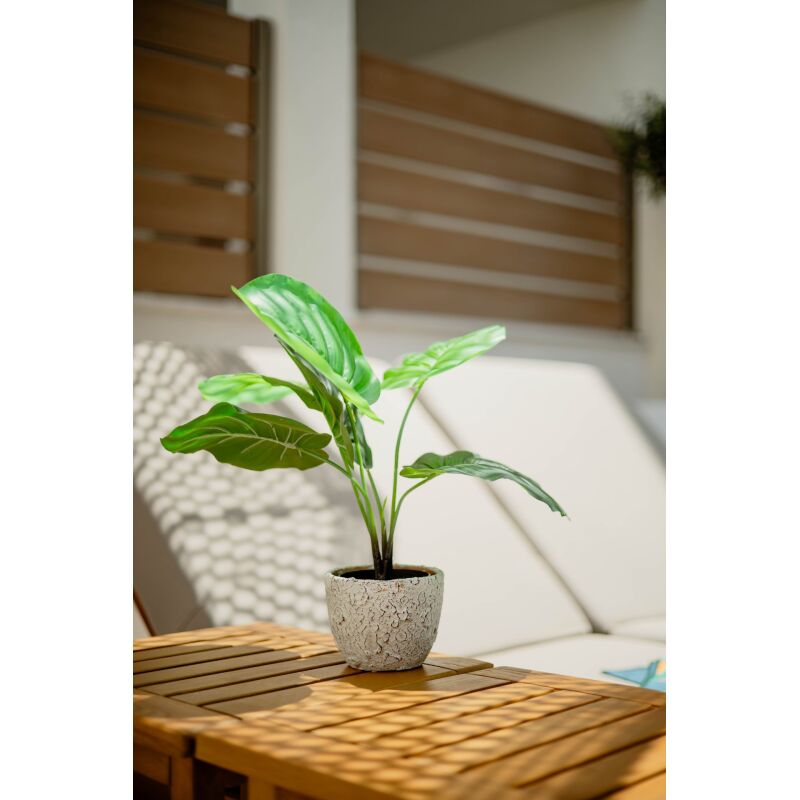 ΚΑΣΠΩ "positano" No 15 18ΤΜΧ/ΚΙΒ - Image 3