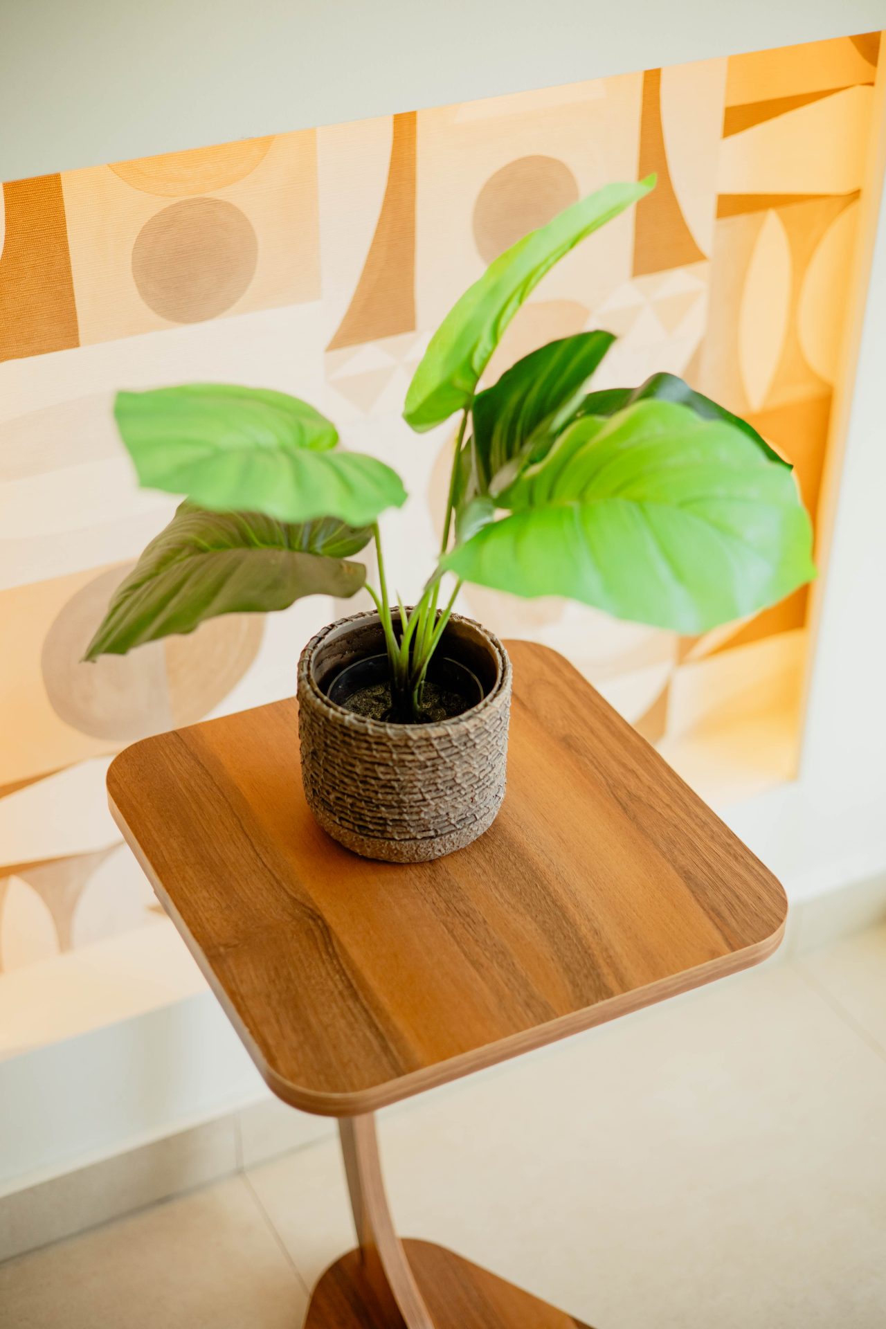 ΚΑΣΠΩ CAPRI No 15 12ΤΜΧ/ΚΙΒ