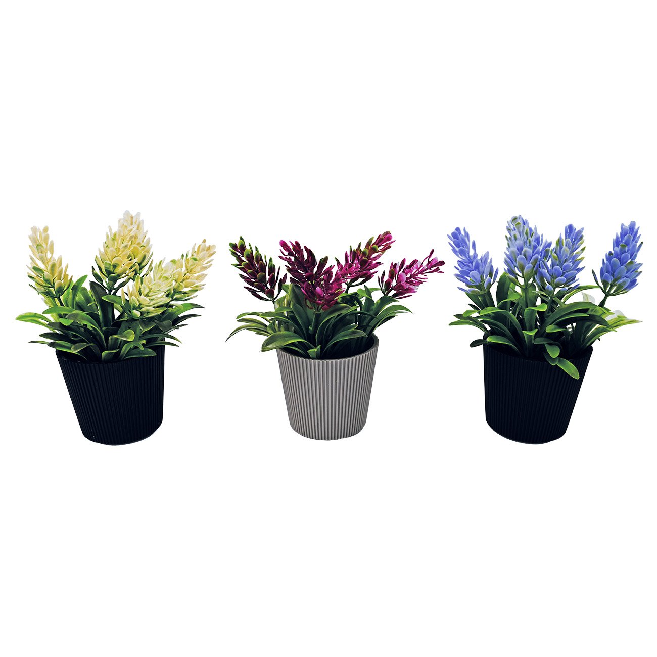 ΓΛΑΣΤΡΑΚΙ ΜΕ ΦΥΤΟ Νο 22 - 6,5x13,5cm 200ΤΜΧ/ΚΙΒ